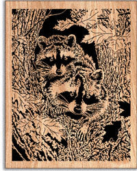 Double Trouble (Raccoon Duo) Scrolled Art Pattern