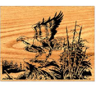 Eagle Landing Scrolled Art Project Pattern