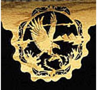 Eagles Nature Shelf  Project Pattern