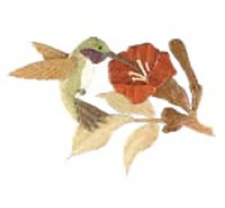 Hummingbird Intarsia Pattern