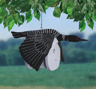 Loon Birdhouse Wood Project Pattern