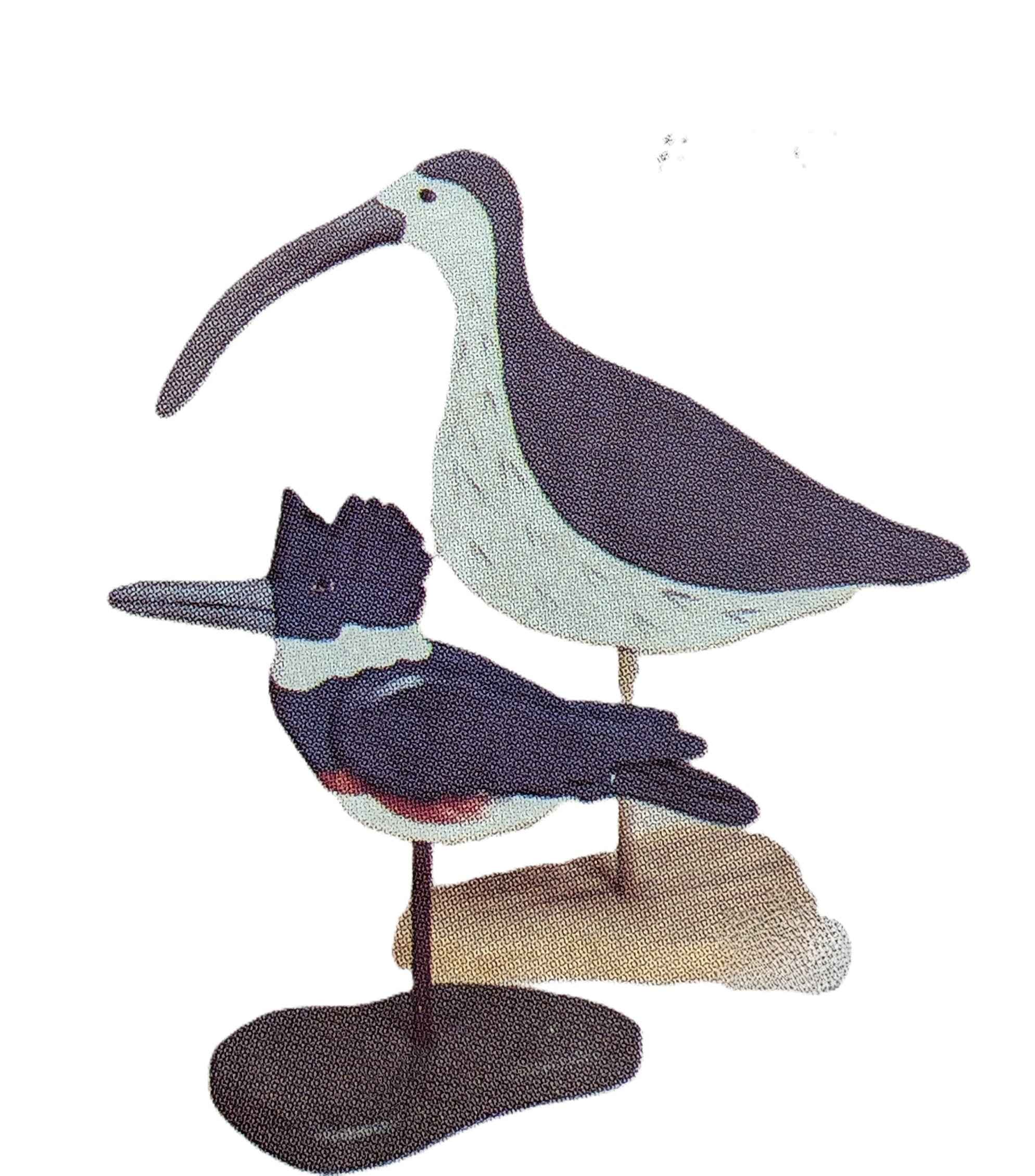 Shorebird Pattern Collection (F)