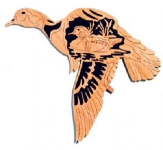 Wood Duck - Nature's Majesty Project Pattern(F)